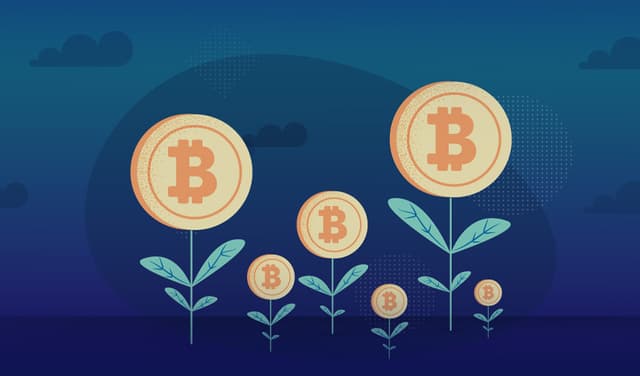 Bitcoin – File