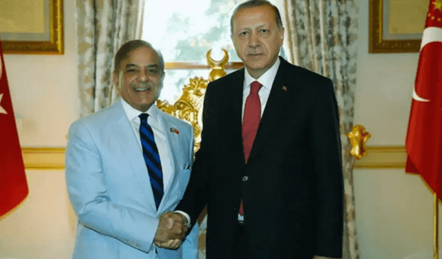 PM Shehbaz, Erdogan resolve to bolster historical ties (Courtesy: File)