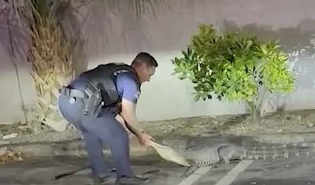 Florida police confront alligator in car park (Courtesy: File)