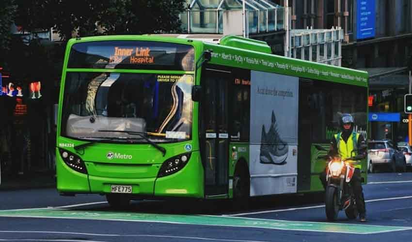 bus