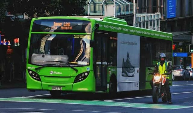 bus