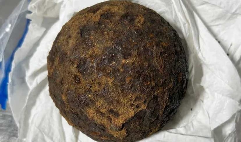 5 Civil War-era cannonballs found in passenger’s luggage at Alabama airport (Courtesy: File)