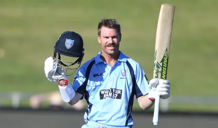 Cricket NSW takes note of alleged drink-driving incident involving Warner (Courtesy: File)
