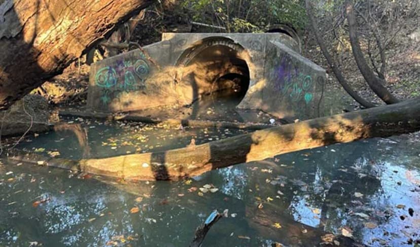 River bacteria may reveal hidden pollution: Study  (Courtesy: File)