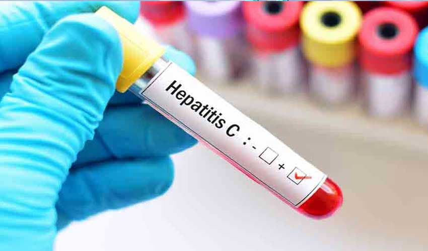 Centre plans hepatitis-free regions (Courtesy: File)