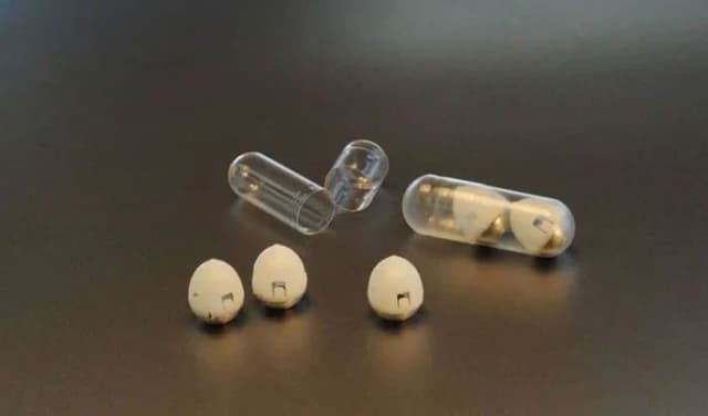 Insulin-pills-latest