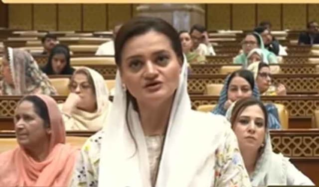 Punjab Assembly approves bill to uplift entertainment industry (Courtesy: File)