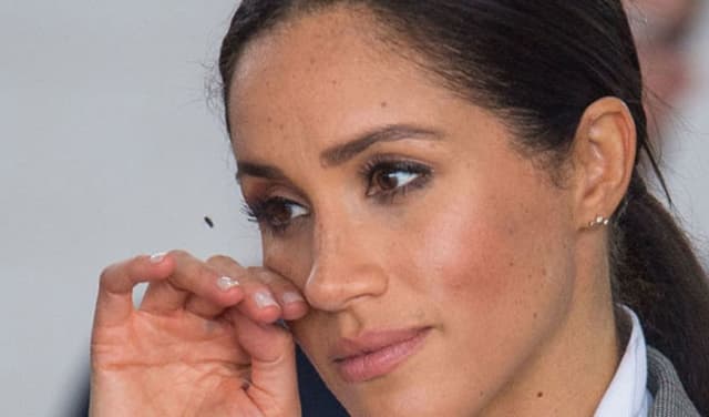 Meghan-markle-crushed