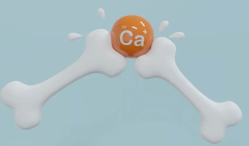 Milk-bone-strength-latest