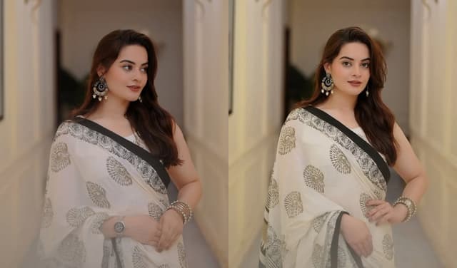 Minal Khan's elegant saree look wins praise on social media (Courtesy: @minalkhan.official)