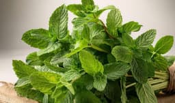 Why adding mint to your diet could benefit your health
