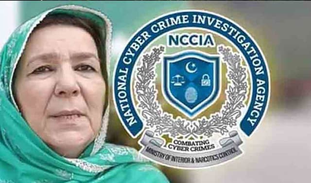 Noreen-Niazi-NCCIA-latest