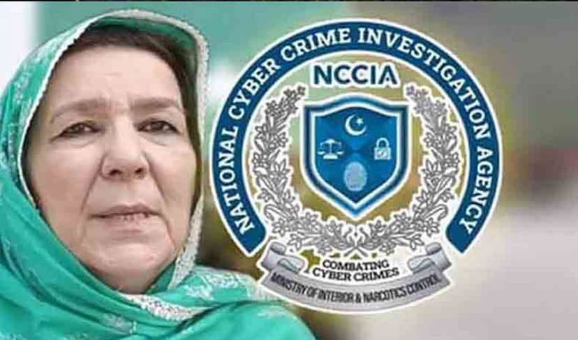 Noreen-Niazi-NCCIA-latest