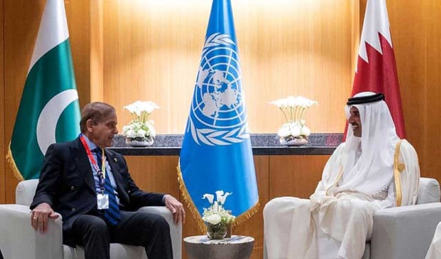 Shehbaz, Qatar's emir agree to advance peace efforts (Courtesy: File)