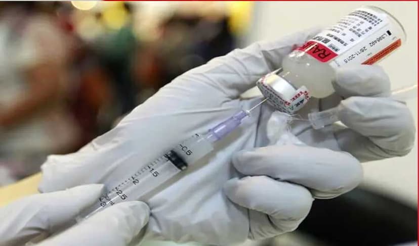 Elderly person dies from rabies in Lahore (Courtesy: File)