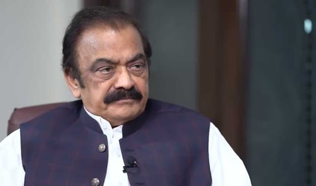 Sanaullah says Pakistan's efforts helped avert global conflict (Courtesy: screengrab)