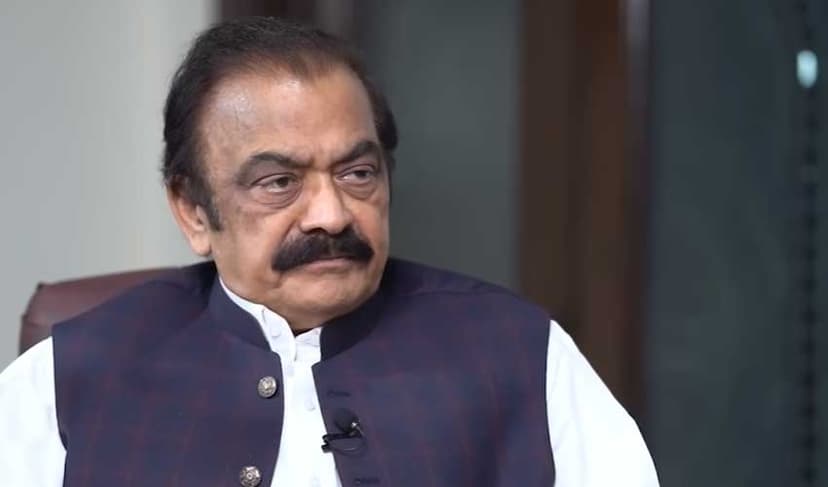Sanaullah says Pakistan's efforts helped avert global conflict (Courtesy: screengrab)