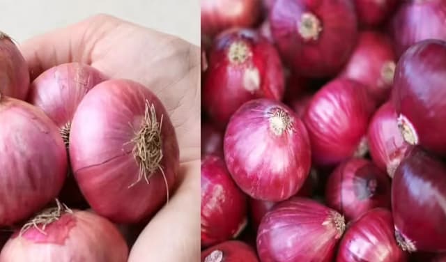 Red-onions-latest