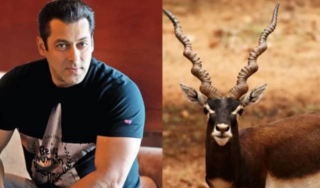 Salman Khan black buck