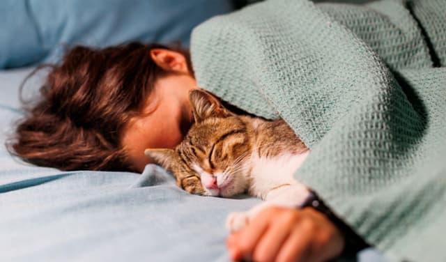 Sleeping-with-pets-latest