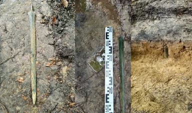 2,700-year-old Bronze Age sword found standing upright in Poland (Courtesy: File)