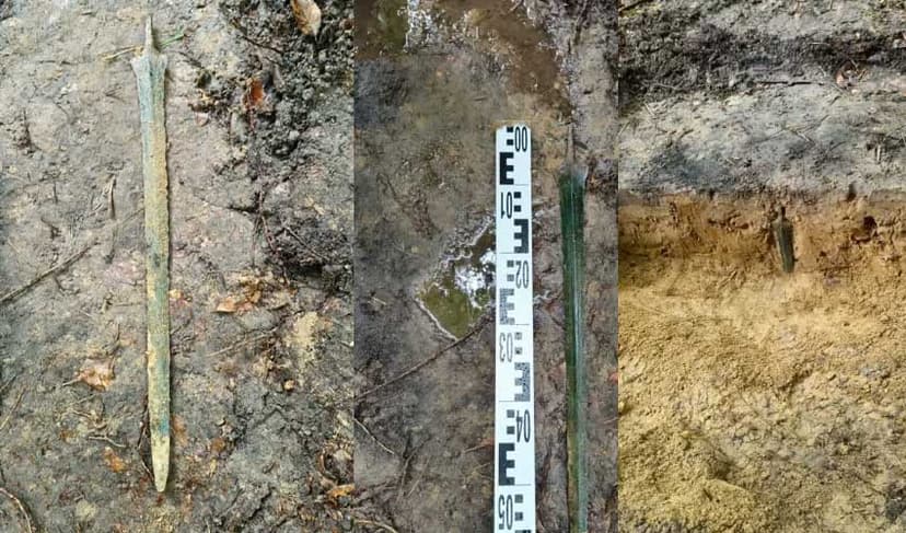 2,700-year-old Bronze Age sword found standing upright in Poland (Courtesy: File)