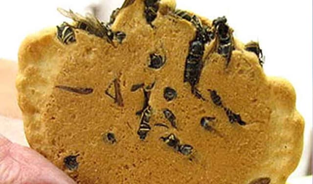 Japanese wasp biscuits draw curious tourists to Omachi markets (Courtesy: File)