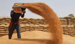 Wheat-import-Pakistan