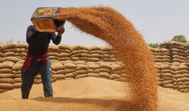 Wheat-import-Pakistan