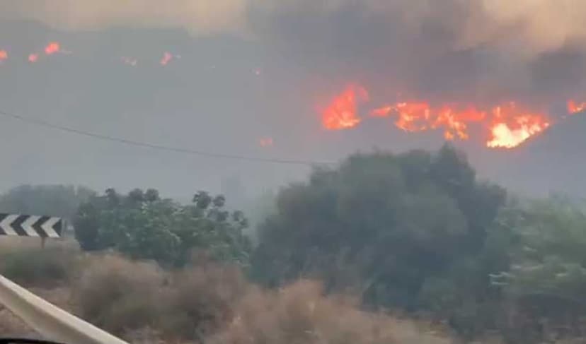 12 killed, several missing in deadliest wildfire in Spain (Courtesy: File)