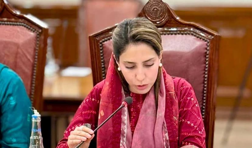 YPF Punjab Assembly hosts Chinese diplomats in Lahore (Courtesy: File)
