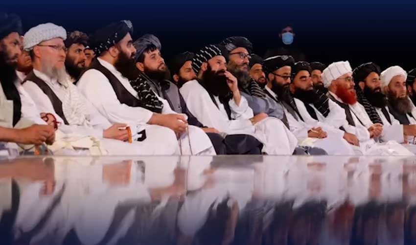 PTI leaders PTI leaders