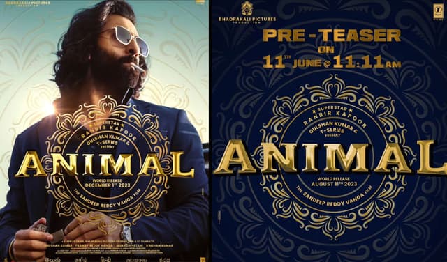 Animal Poster