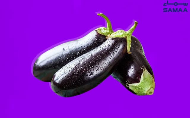 Aubergine may assist weight loss: study (Courtesy: Samaa Digital - art work)