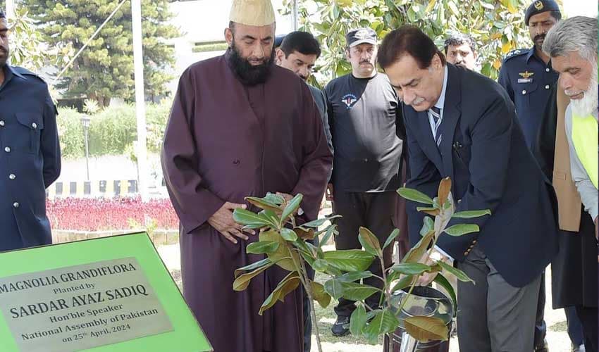 NA speaker plants a sapling of Magnolia Grandiflora – SardarAyazSadiq NA speaker plants a sapling of Magnolia Grandiflora – SardarAyazSadiq