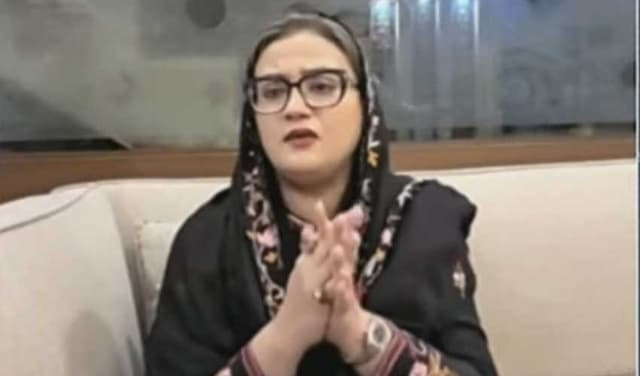 Punjab govt to expand Basant across province if Lahore pilot succeeds (Courtesy: screengrab)