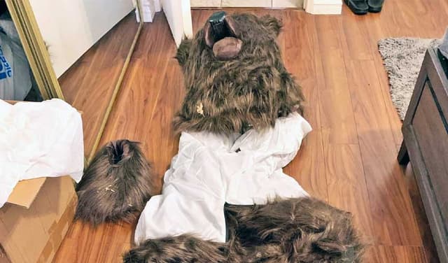 Bear Costume