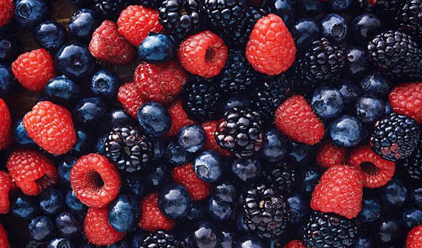 Foods rich in anthocyanins help improve blood flow to brain, heart (Courtesy: Online) Foods rich in anthocyanins help improve blood flow to brain, heart (Courtesy: Online)