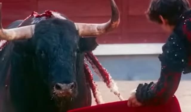Documentary about bullfighting receives Golden Shell amid protests by animal rights groups – File