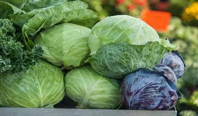 1.6 tonnes of drugs hidden under cabbages seized in Thailand (Courtesy: File)