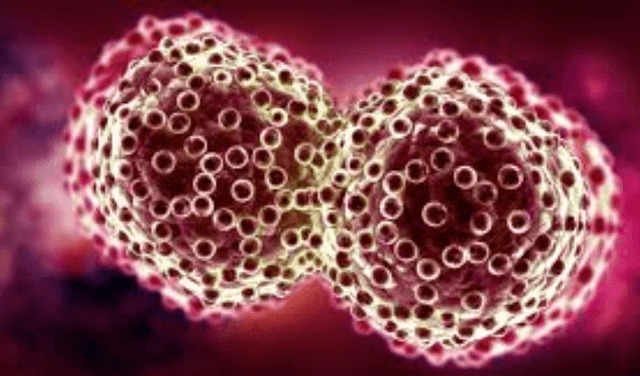 Cancer cells