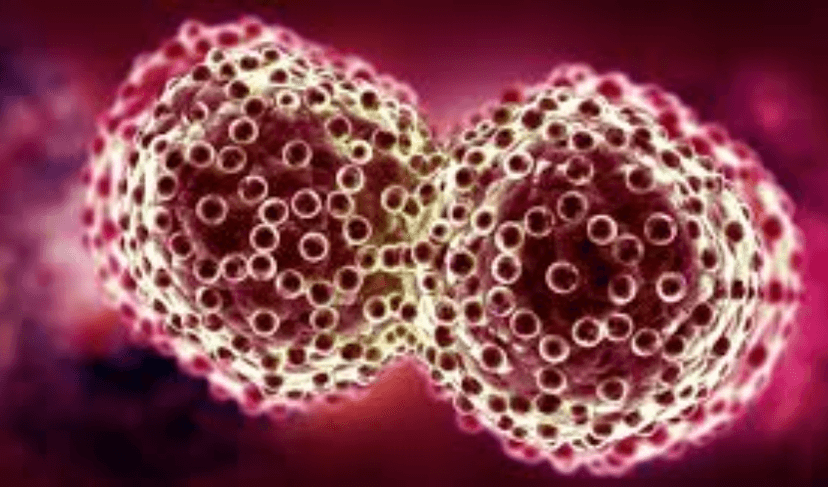 Cancer cells