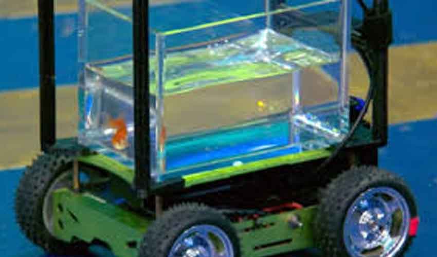 Annual auto show in Lahore displays classic and modern sports cars (Courtesy: Representational Image)