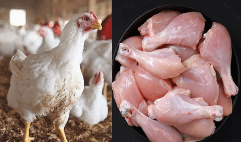 Chicken price goes up again due to difference between demand and supply (Courtesy: Online)