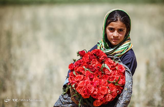 Photo: Wajid Ali/ Samaa Digital