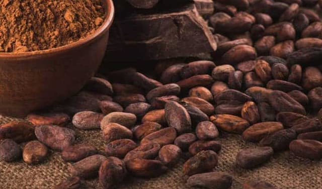 Ivory Coast traces 40% of cocoa beans as EU delays anti-deforestation law - report (Courtesy: File)