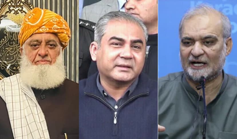 Pahalgam attack: Naqvi takes Fazl, Naeem on board over NSC's decisions (Courtesy: Online)