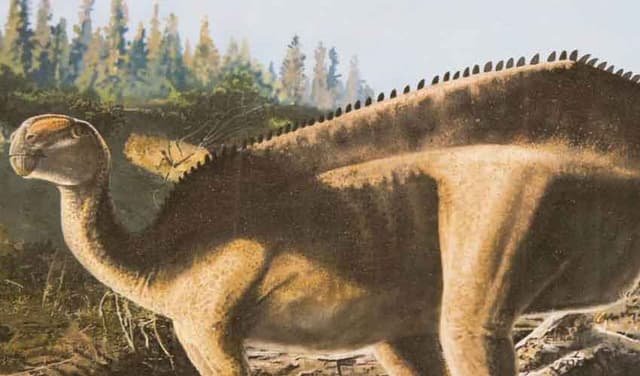 'Jaw-droppingly weird' dinosaur from Morocco was studded with spikes (Courtesy: File)