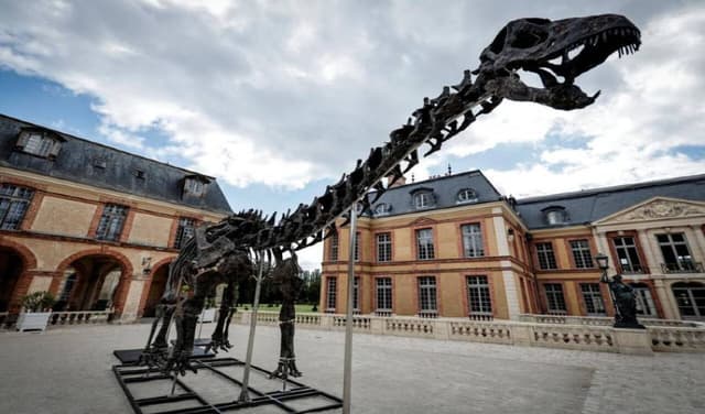 Rare 22-meter dinosaur skeleton sells for $6.4m at auction (Courtesy: Online)
