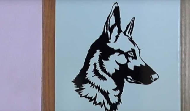 Alarming rise in dog-bite as 18 cases reported in single day (Courtesy: File)